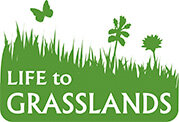 Life to Grasslands