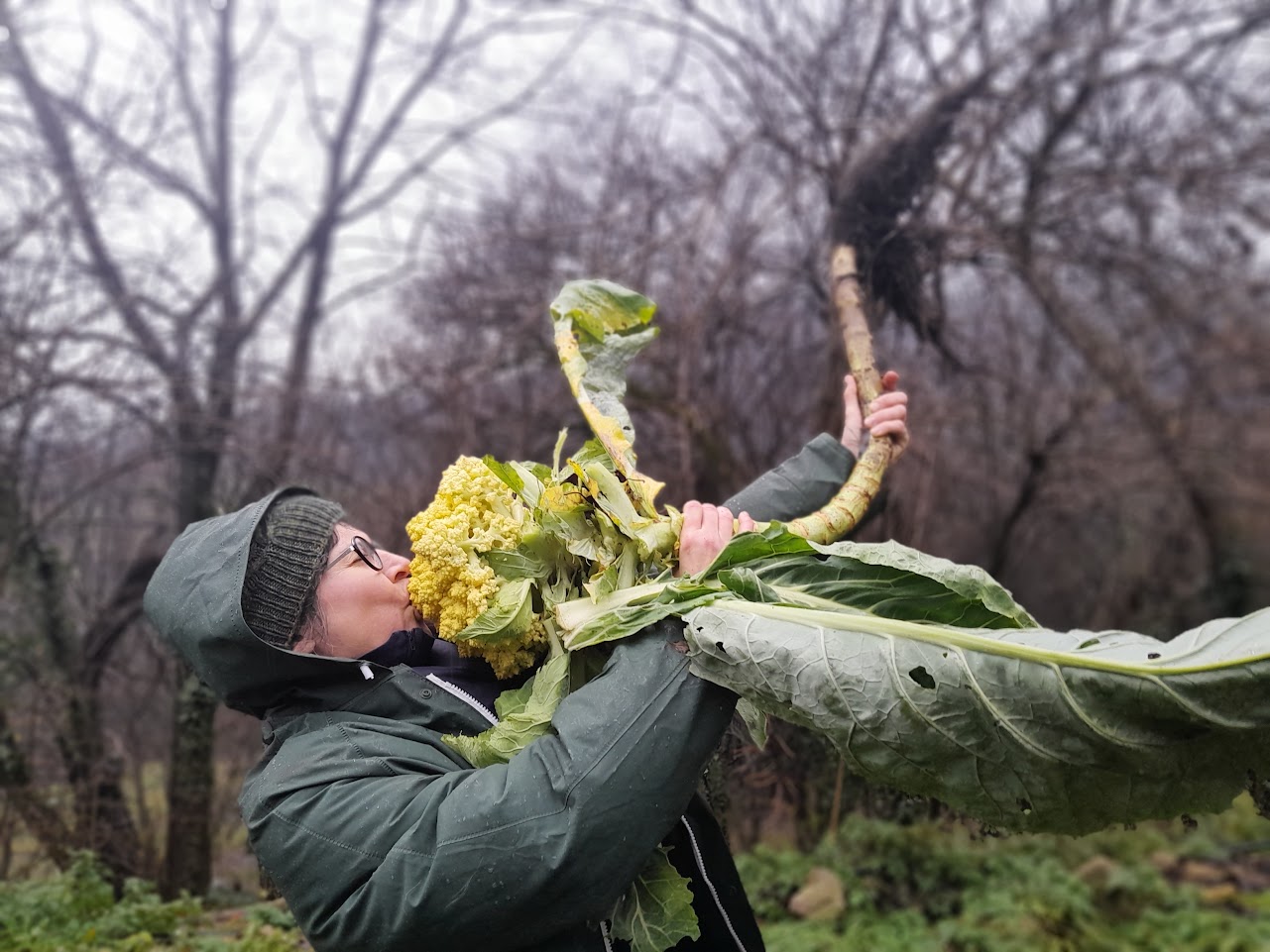 Volunteering at Rizoma