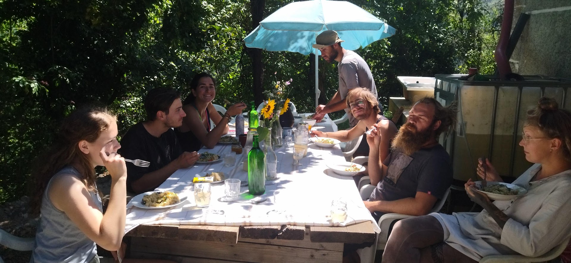 Volunteering at Rizoma